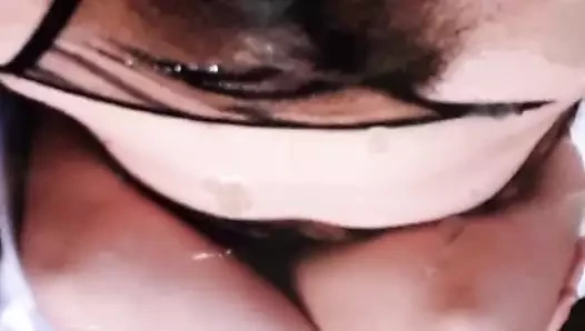 güzel kedi haraç