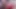 Sissy Charlotte POV deepthroat on Lucys big uncut cock