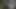 I masturbate while sucking his fat cock in the park