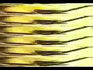 Madonna - Exotica Sex Vid 1992 Full