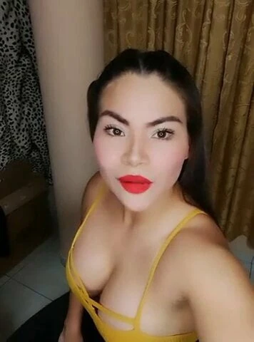 Vp02 - melodia marcos 43pol