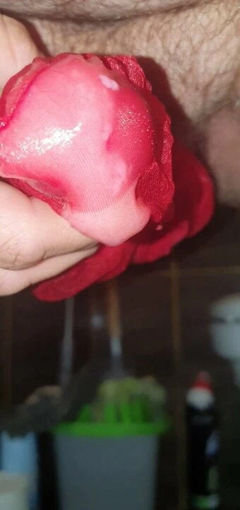 Stocking cum eruption
