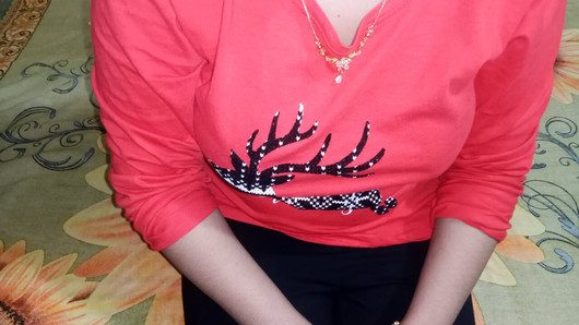 Προεπισκόπηση βίντεο