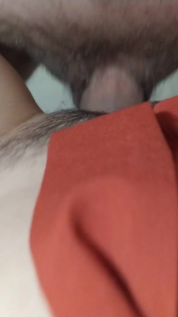 Pregled videozapisa