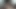 Sucking your big dick makes me feel like such a slut JOI