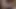 Peru'da bir üniversitede porno oyuncu seçmeleri