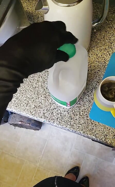 Fazendo um copo de manhã em lingerie quente