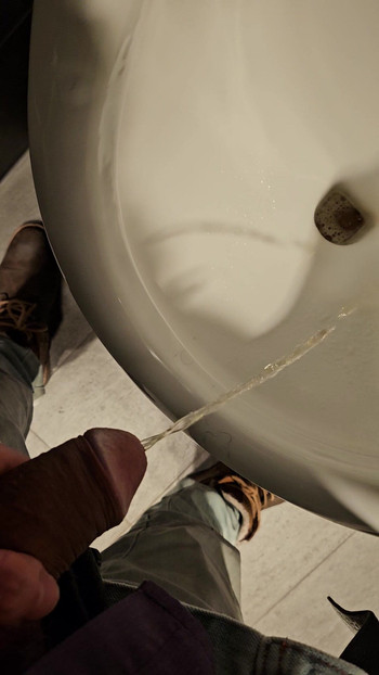 Pissing on public hotel toilet