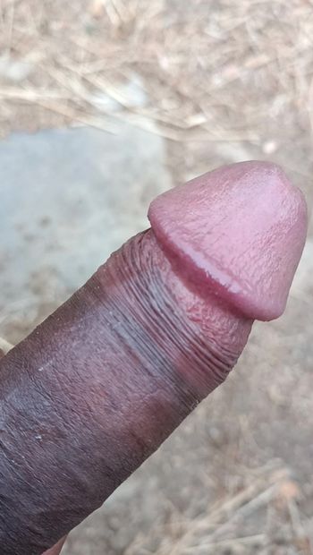 My lovely cock