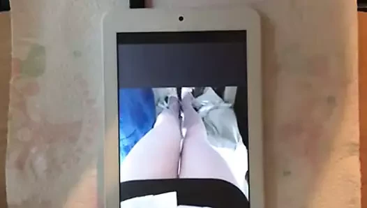 Tania trav için haraç