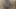 Beyaz gömlekli nazik sevimli ev yapımı striptiz. yakın çekim