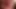 Shemale Femboi Sucking a Big Cock Before Get Fucked