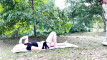 Pregled videozapisa