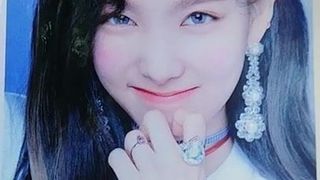 Nayeon (due volte) cumtribute 2
