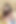 Lauren Phillips, I React as She Gets Fucked in Her Ass and Swallows Pee, & My Stepdad Makes Me Drink 2 Liters of Dark Pee