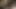 Stevepleas in IWant to cum on u