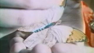 (((trailer teatrale))) - esemplare femminile (1971) - mkx