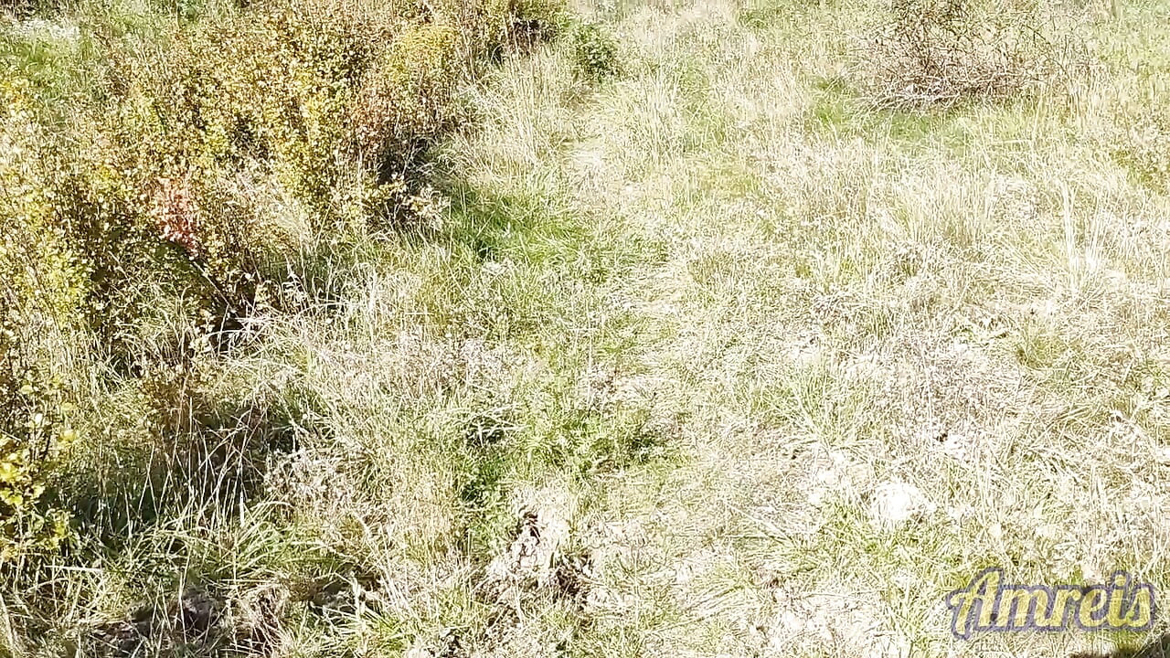 Jerking off in the woods near the highway. I almost got caught!