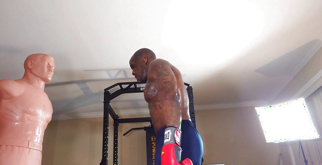 Boxing Workout the Core Is Defined by the Structures That Make up the Lumbo-pelvic-hip Complex (lphc) and Includes the Global an