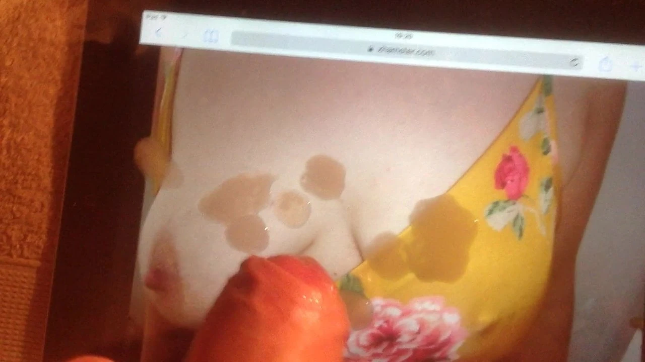 Tribute to nice tits