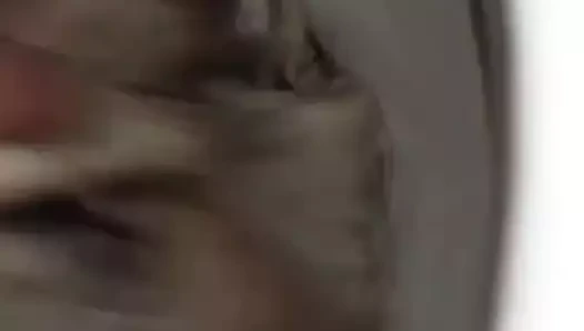 Dakimakura alan raporu