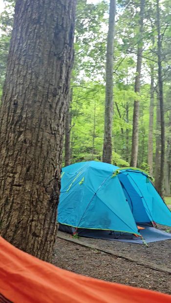 Campground masterbation