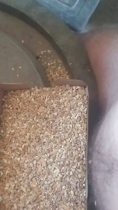 गव्हाने भारावून गेलेला लंड
