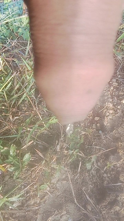 Entre em contato comigo para obter, são 8 polegadas.