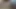 I milked the squirting cock to a hot big orgasm