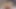 Finally Fucking Brother's Big Dick Stepdaughter - GenderX