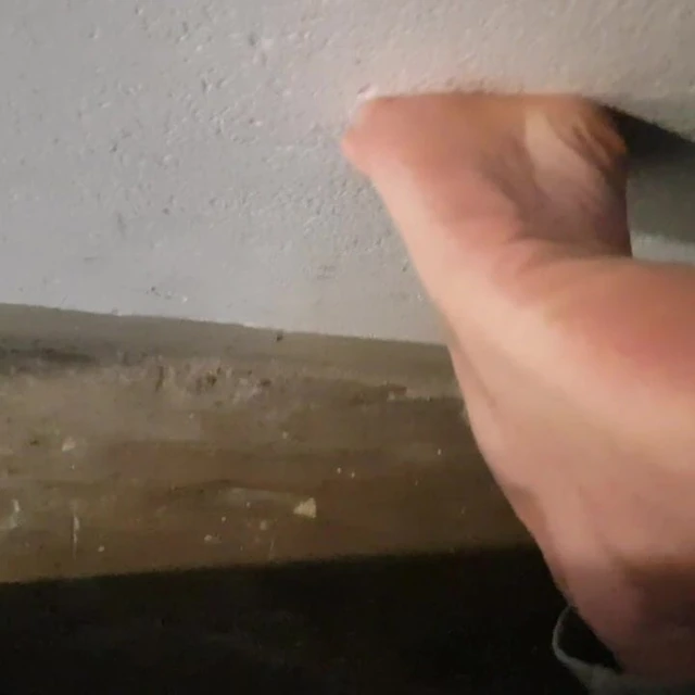 Maurihotfeet