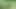 fucking myself in the middle of a field