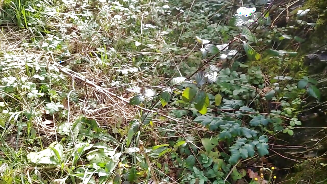 The Horny Stepfather Went on a Hike, When He Took Out His Bonita Cock a Tick Fell on His Cock