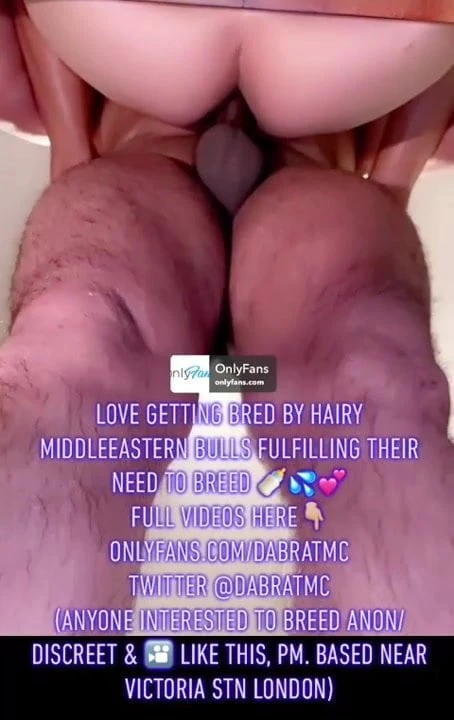 HAIRY BULLS Desperate to Breed