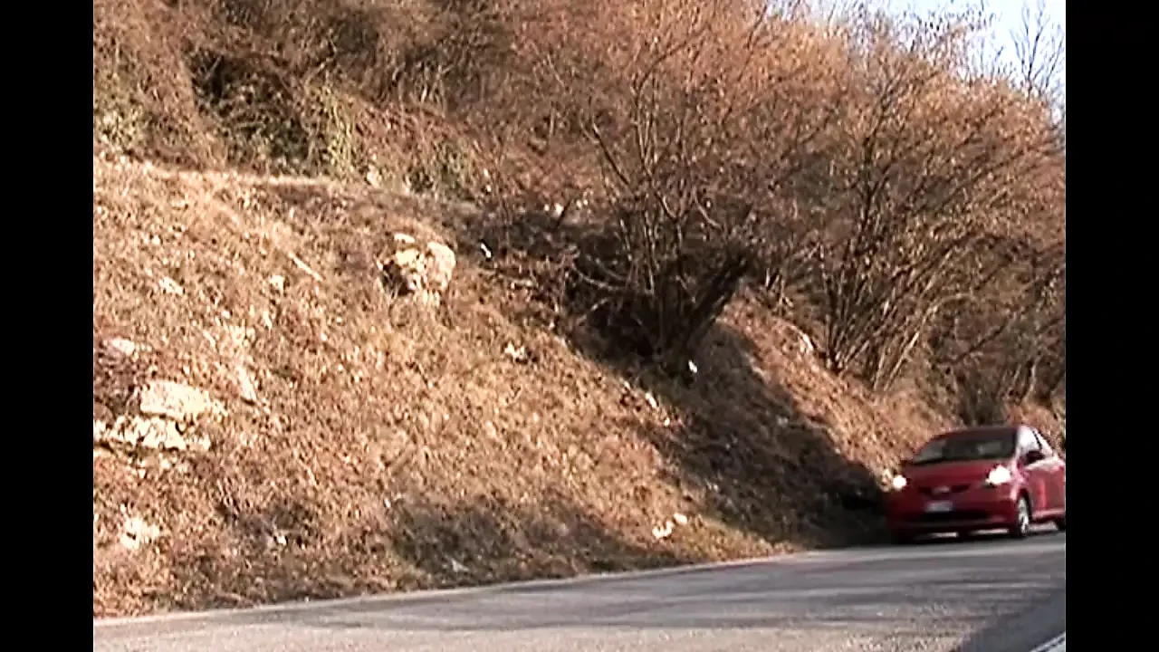 Hot Blonde MILF Caught in the Countryside While She's Pissing and Ass Fucked