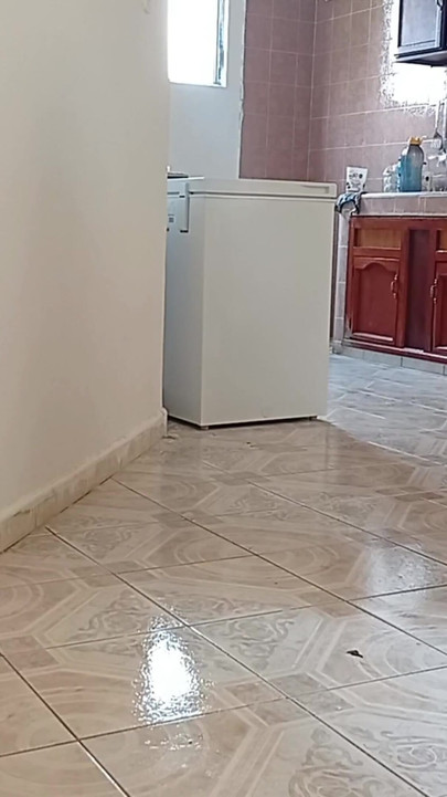 Key moment from "I left the cell phone recording while the lady did the cleaning in apartment 3"