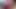 coat of my acquaintance