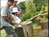 Pratinjau video