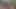 WTF – just fuck my gay ass