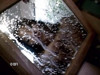 Pratinjau video