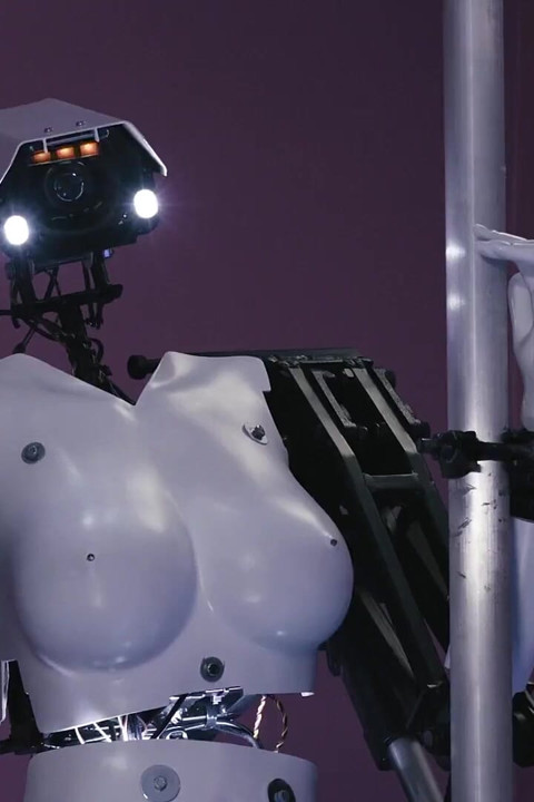 Ai Bot Vs a Human Stripper - the Ultimate Challenge