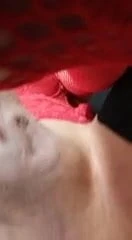 mi panochita