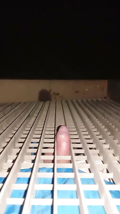 Watch porn and fuck bars