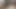 Fakeagentuk büyük yüz için Güney Afrika mavi gözlü bebek