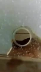 Tomando um banho