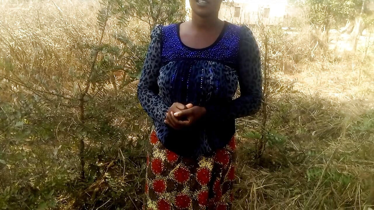 forest  in bush