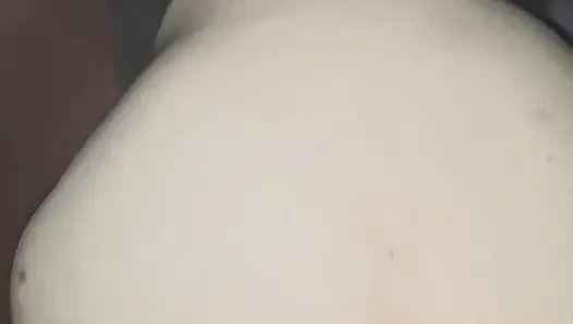of a puppy