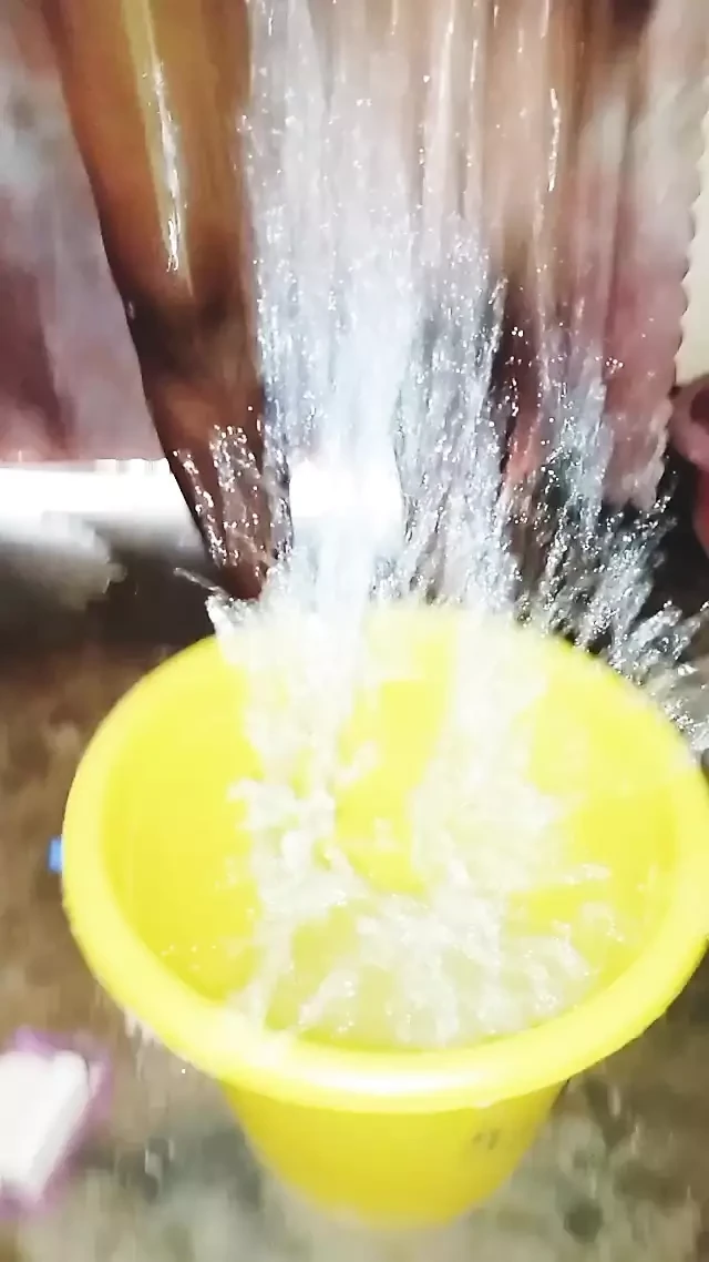 New Year Videos Compilation 2024