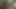 Yırtık zenci kadın yatakta iki ateşli beyaz kızla sikişiyor