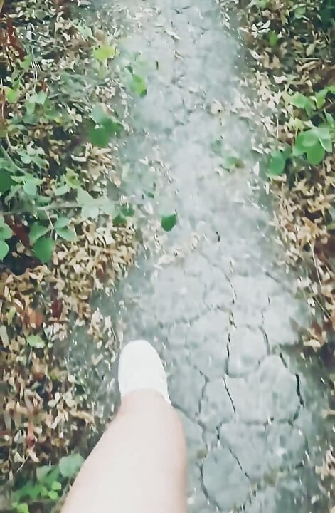 POV Naked Walk in the Woods